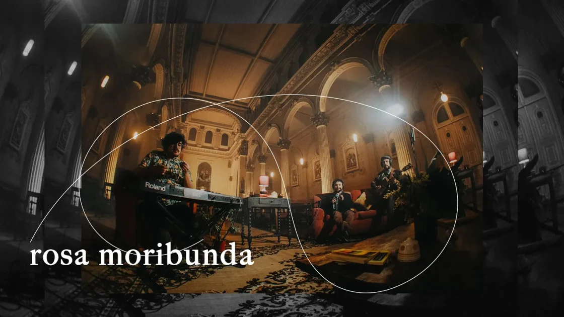 Rosa Moribunda en La Sala